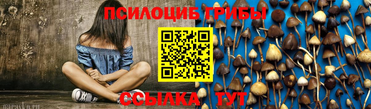 Когалым  Галлюциногенные грибы Psilocybe  где продают   Вход с VPN  Галлюциногенные грибы Psilocybe 